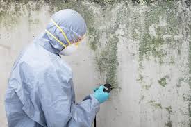 Best Comprehensive Air Testing for Mold Contaminants in East Mountain, TX